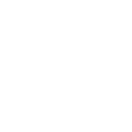 Woman's Face Icon